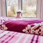 Nad Stawami Appartement Woliborz