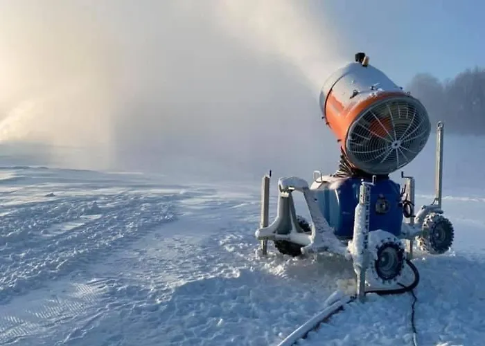 Nad Stawami Woliborz